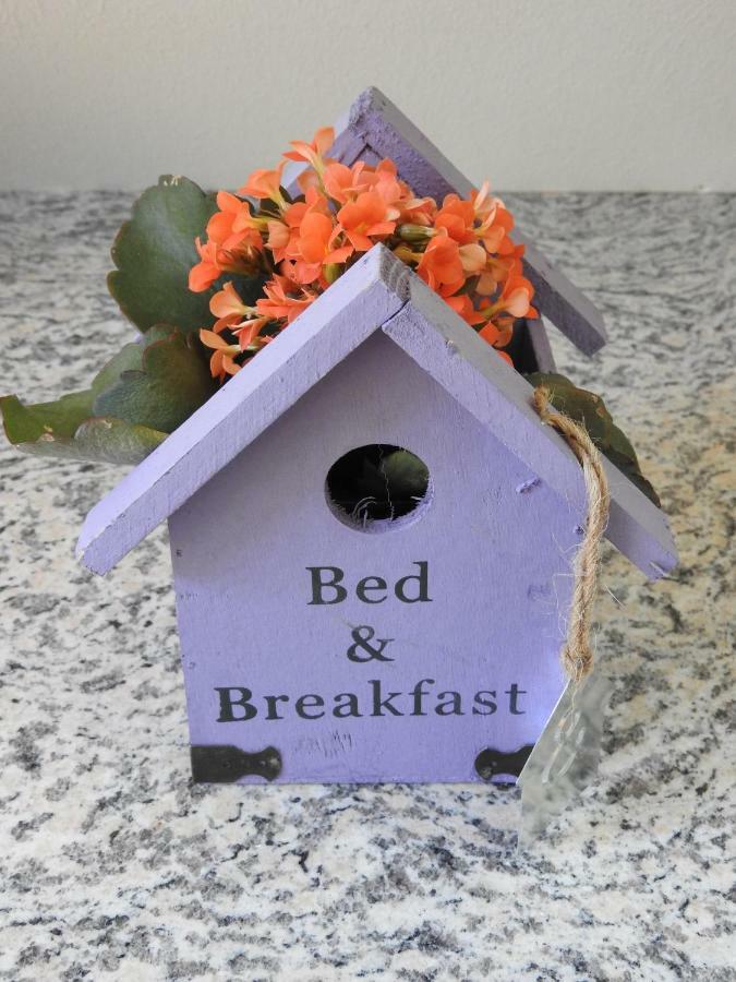 Sweet Home Suite Hallerndorf المظهر الخارجي الصورة