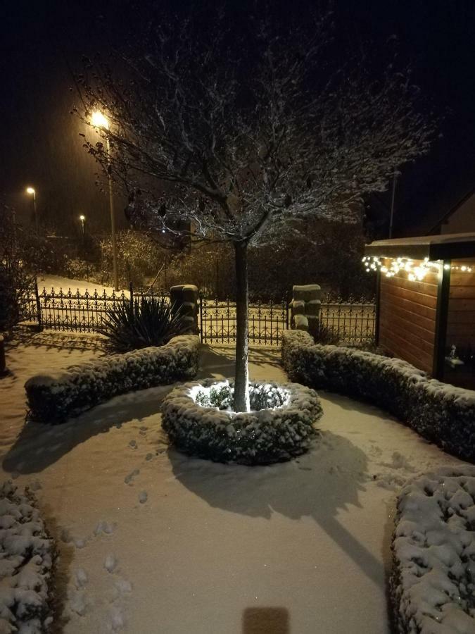 Sweet Home Suite Hallerndorf المظهر الخارجي الصورة