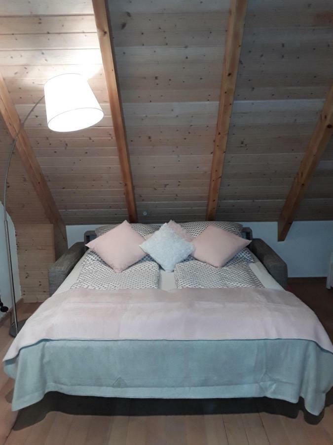 Sweet Home Suite Hallerndorf المظهر الخارجي الصورة